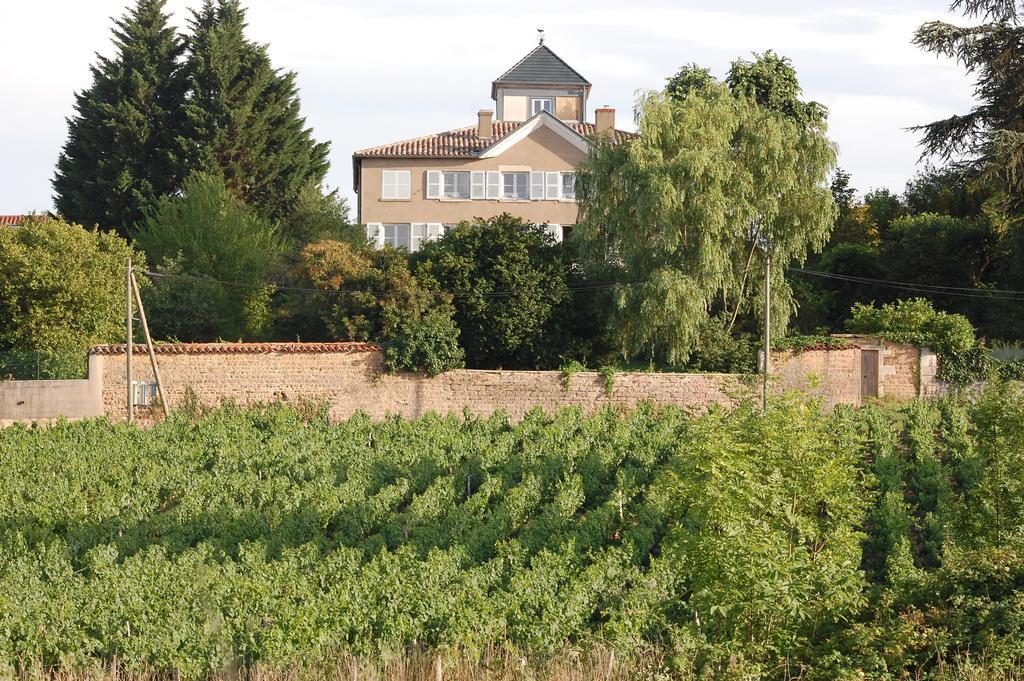 Bed and Breakfast Le Montellier Blacé Exteriér fotografie